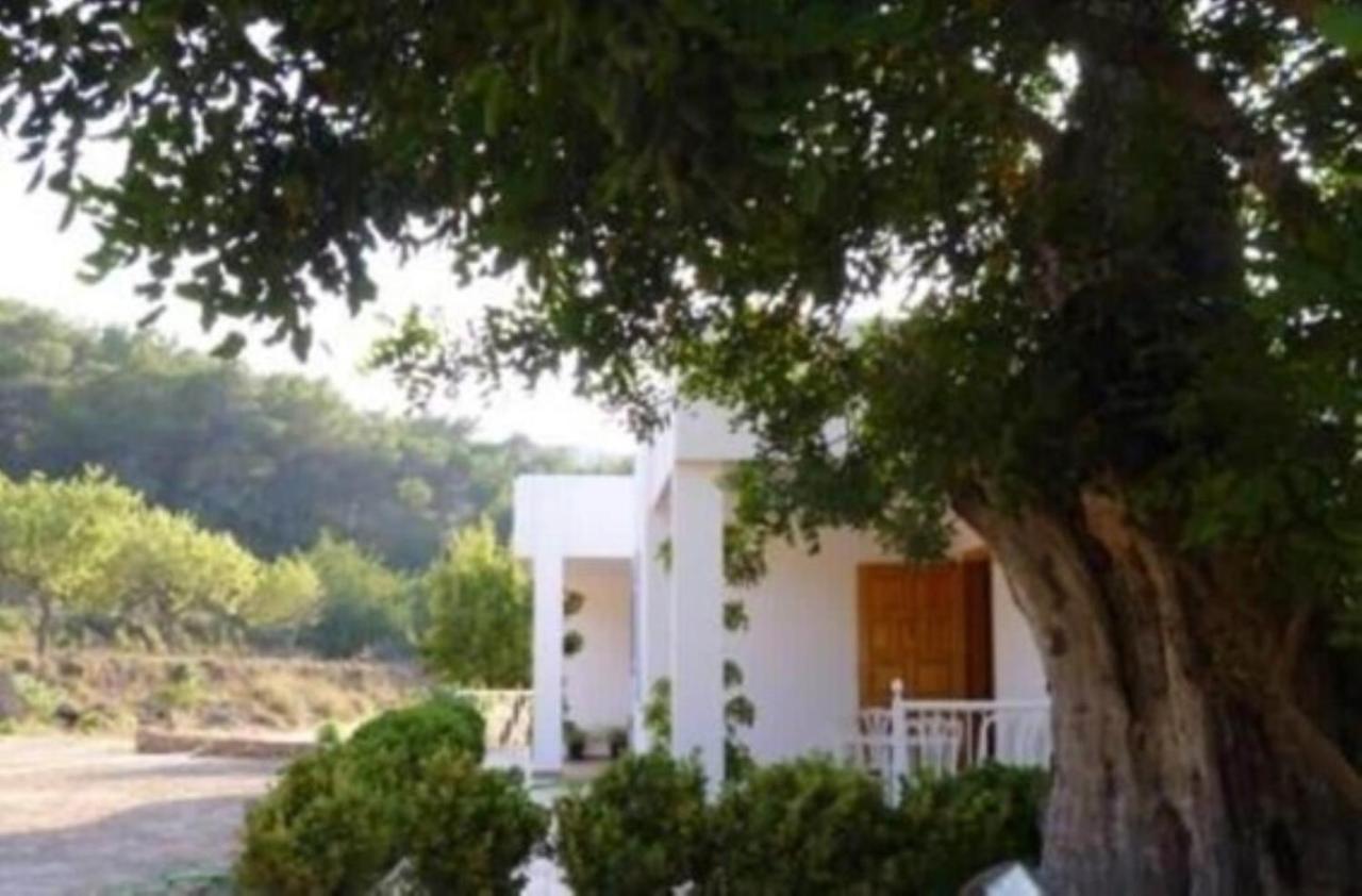 Can Ramón Sant Josep de sa Talaia Exterior foto